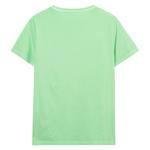Gant Erkek Yeşil Regular Fit T-Shirt