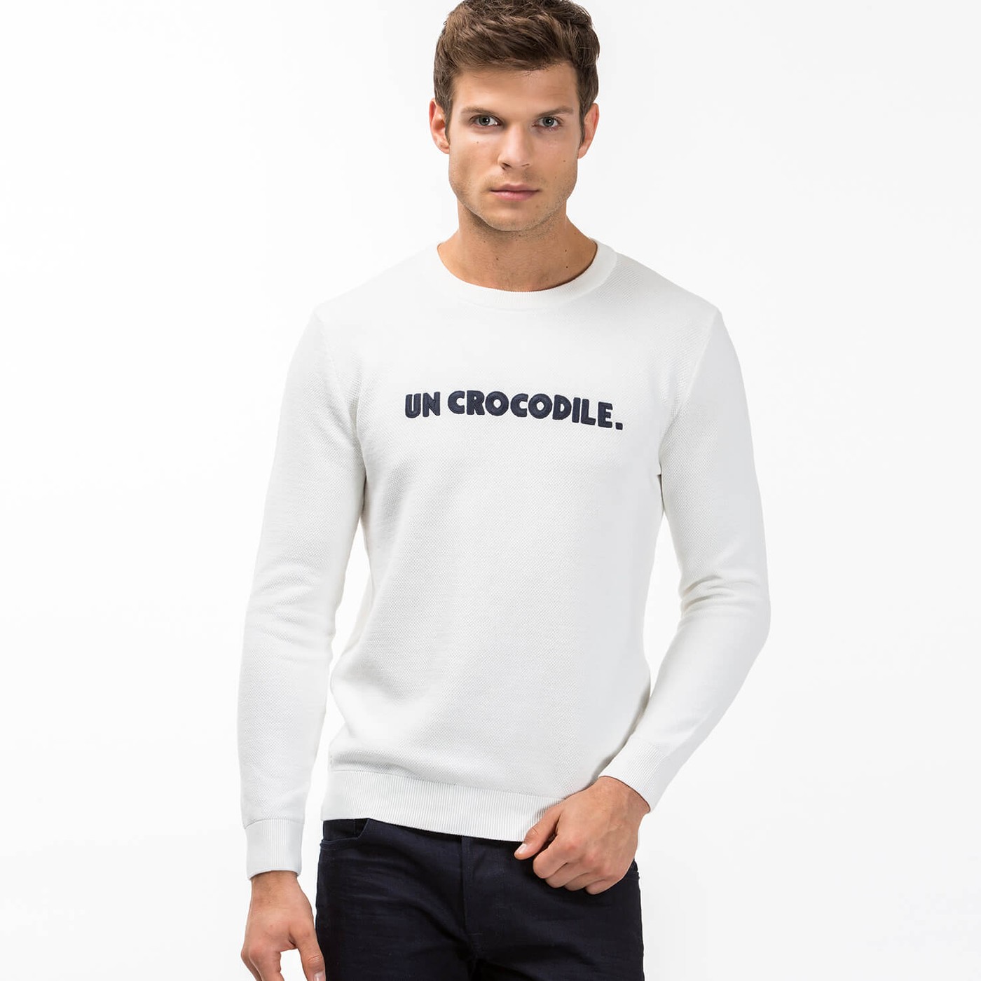 un crocodile sweater, OFF 74%,Buy!